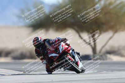 media/Jan-10-2026-Race Pace (Sat) [[3e4fee349c]]/2-Verified/Session 2 (Turn 4 Tree of Life)/